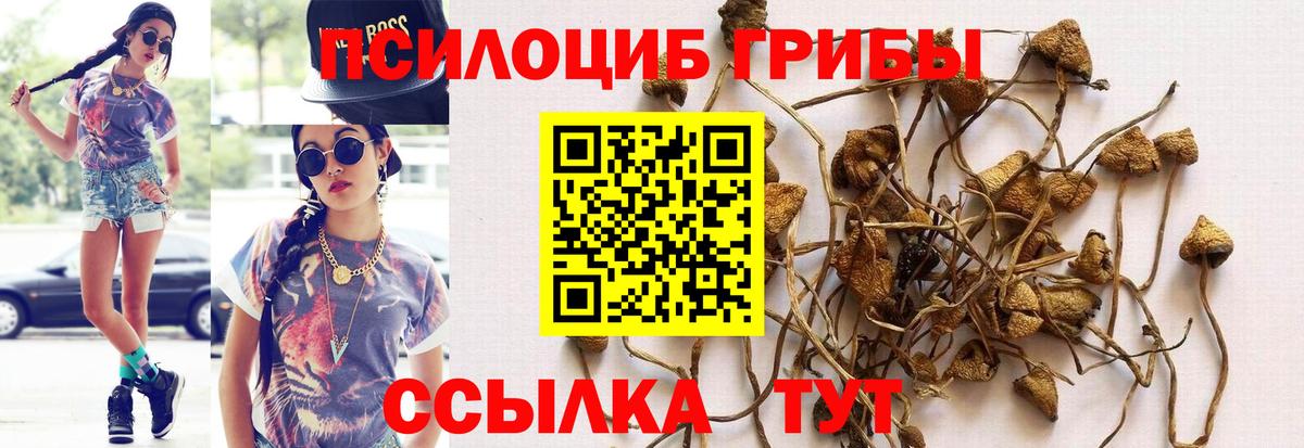 Кудрово  Галлюциногенные грибы ЛСД  Вход с VPN  Псилоцибиновые грибы прущие грибы 