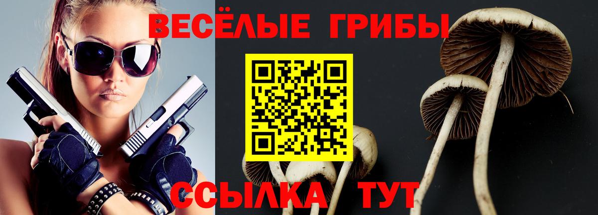 Псилоцибиновые грибы мицелий Кудрово